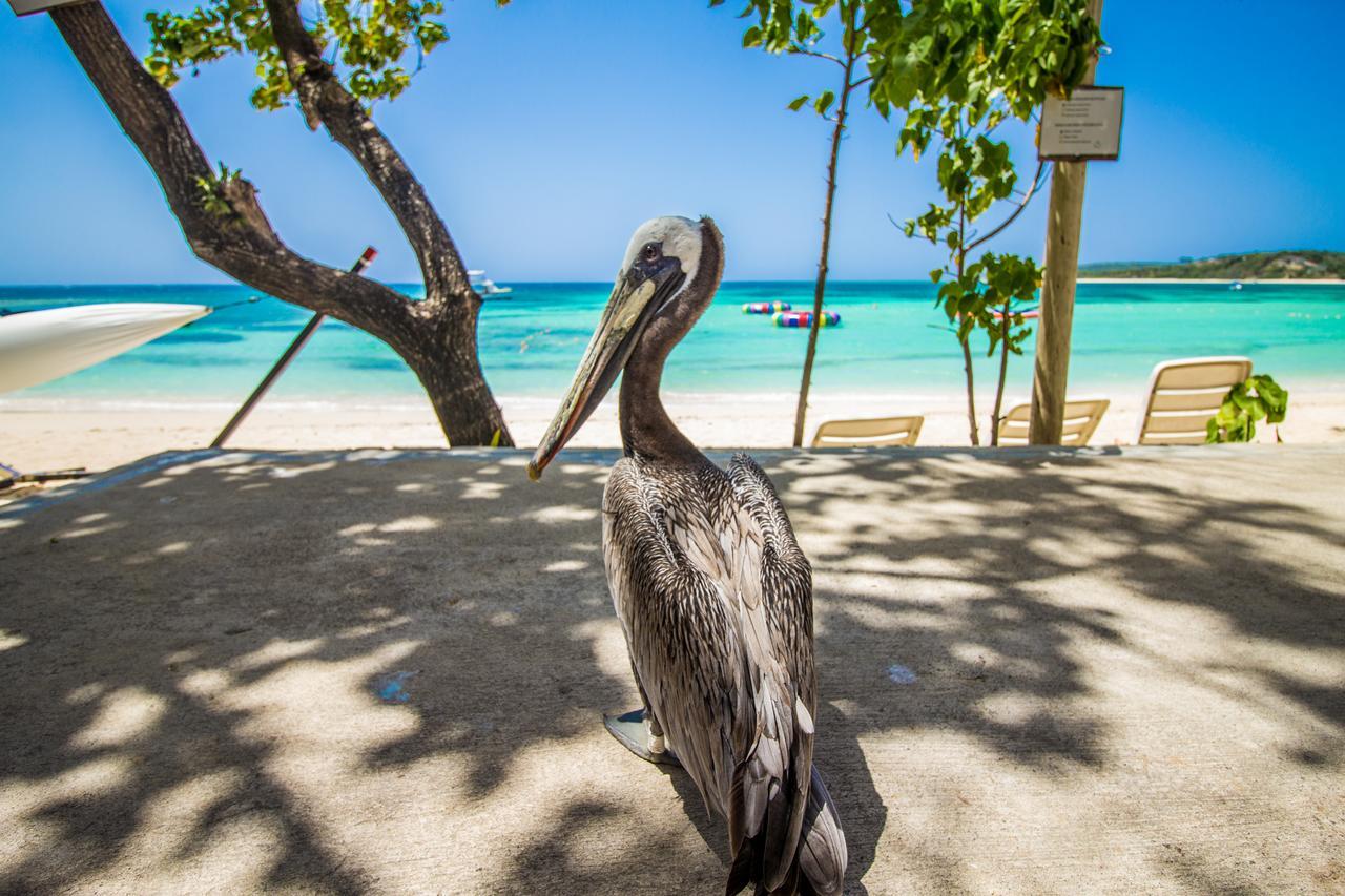 Paradise Island Beach Resort Punta Rucia Exterior photo
